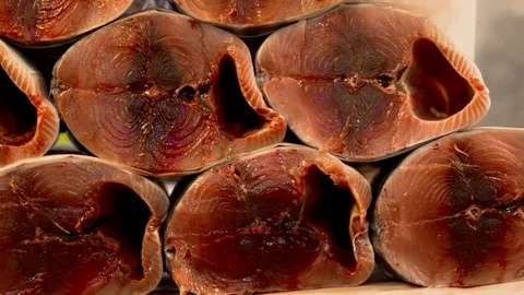 Bonito Fish On The Fish Stall Stock Footage 103845241