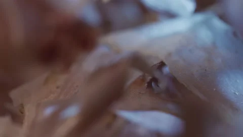 Bonito flakes close-up Stock Footage 132160861