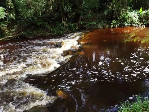 Bonito River 写真素材