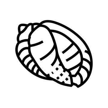 Bonnet sea shell beach line icon vector illustration Stock Illustration