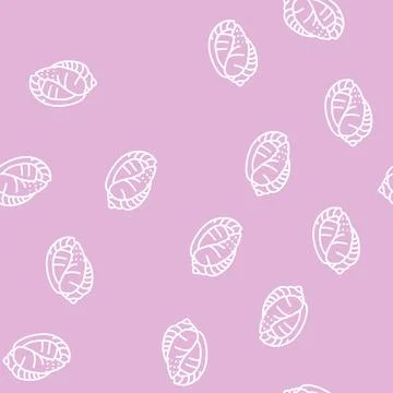 Bonnet sea shell beach line seamless pattern 库存插图