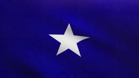 Bonnie Blue Flag Waving Loop 4K – Historical American Flag Animation Vídeos de archivo 335993713