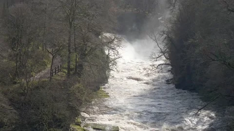 Bonnington Linn, Falls of Clyde Video stock 171776193