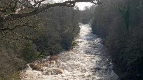Bonnington Linn, Falls of Clyde Stock-Footage 171776206