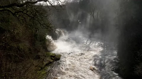 Bonnington Linn, Falls of Clyde Stock-Footage 171776222