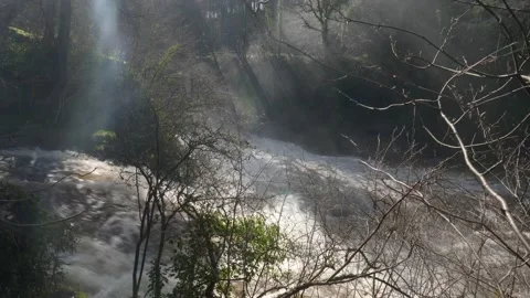 Bonnington Linn, Falls of Clyde Stock-Footage 171776223