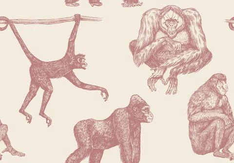 Bonobo or chimpanzee Seamless pattern. Western gorilla Orangutan. Vintage poster Stock Illustration