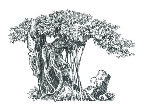 Bonsai banyan with large leaves on the stone. Ink drawing. Stock Illustration
