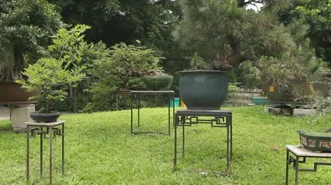 Bonsai Garden Stock Footage 11205265