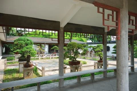 Bonsai garden Stock-Fotos