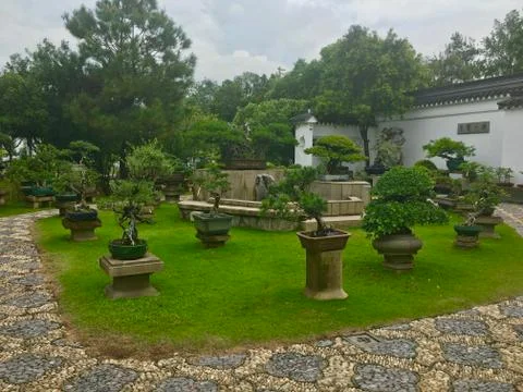 Bonsai garden Stock Photos