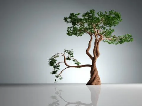 Bonsai Stock Illustration