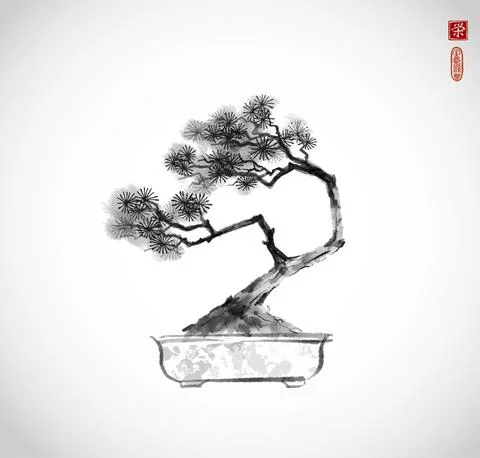 Bonsai pine tree hand drawn with ink on white background. Traditional oriental Stock Illustration