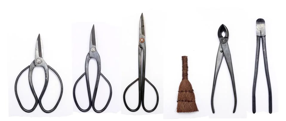 Bonsai tool kit Stock Photos