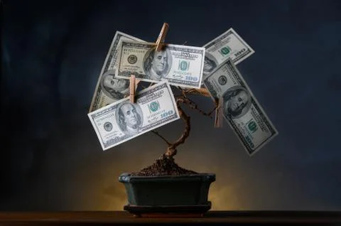 Bonsai tree with american dollars instead of leaves. Stock Illustration