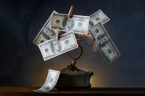 Bonsai tree with american dollars instead of leaves. Stock Illustration