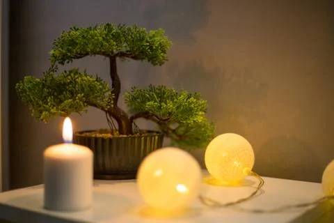 Bonsai tree with candle on white table in bedroom Stock Photos