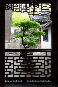 Bonsai tree Stock Photos