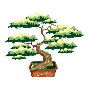Bonsai tree in pot. Color vector flat cartoon illustration isolated Stock Illustration
