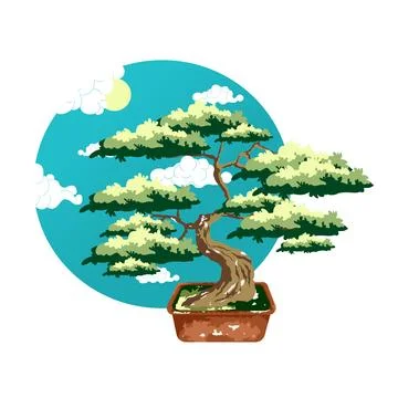 Bonsai tree in pot. Color vector flat cartoon illustration isolated Stock Illustration
