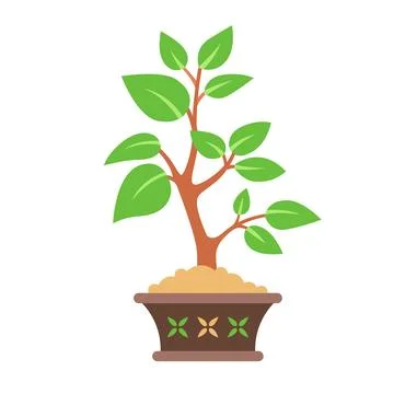 Bonsai tree in a pot. Stock Illustration
