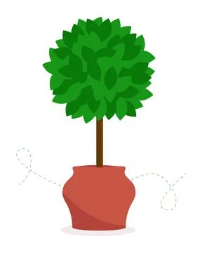 Bonsai tree in a pot. Vector illustration Stock Illustration