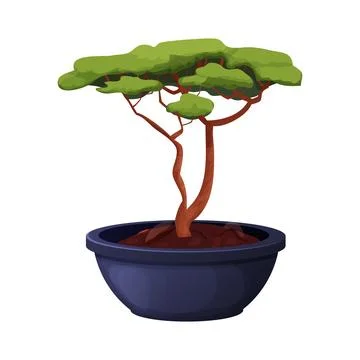 Bonsai tree with twisted trunk, foliage in ceramic pot in cartoon style, asian Stock Illustration