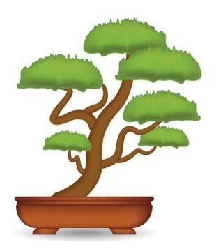 Bonsai tree on a white background vector Stock Illustration