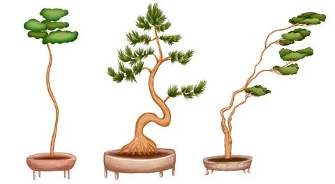 Bonsai trees set Stock Illustration