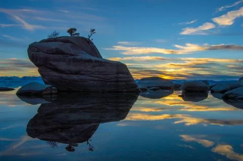 BonsaiSunSet Stock Photos