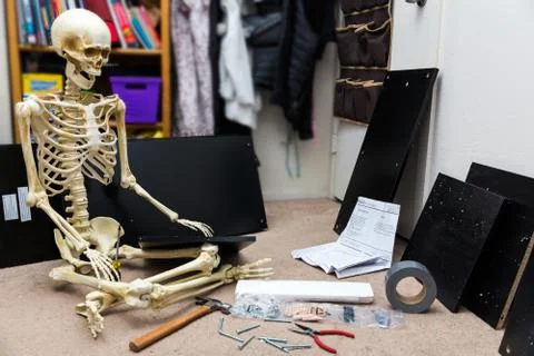 Bony skeleton assembling a black wooden shelf Stock Photos