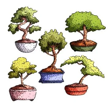 Bonzai tree set sketch hand drawn vector Stock Illustration