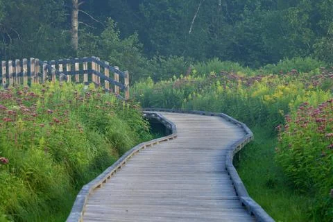 Booardwalk 库存照片