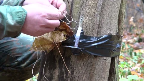 Booby Trap and Grenade attached to a tree Stock Footage 239713188