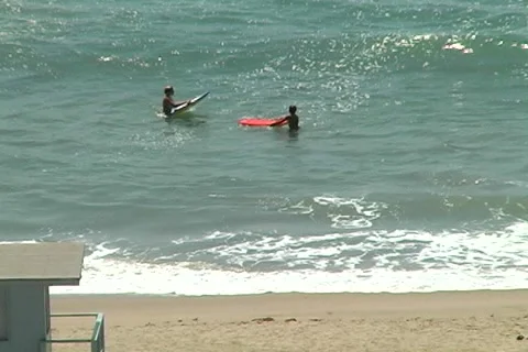 Boogie Boarders Stock Footage 990073