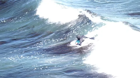 Boogieboarding on a wave. Vídeos de archivo 312972502