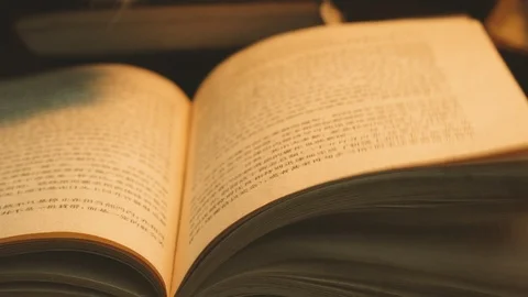 Book 1 Stock Footage 101365219