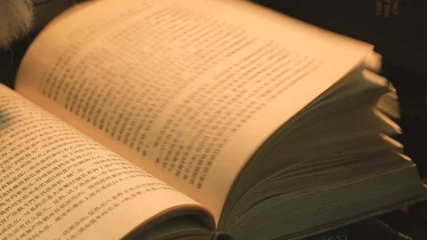 Book 2 Stock Footage 101365810