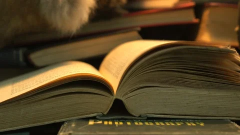 Book 3 Stock Footage 101415876