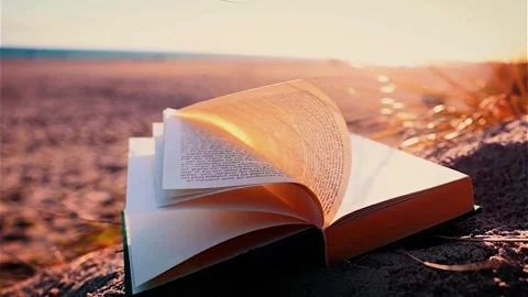 Book in the afternoon Stock Footage 255365783
