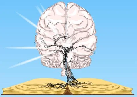 Book and brain Stock Illustration