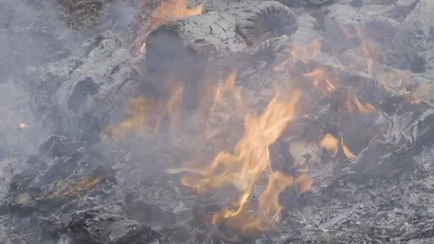 Book and Document Pages Burning Pile In A Fire Pit With Logs Being Thrown In Video stock 145681818