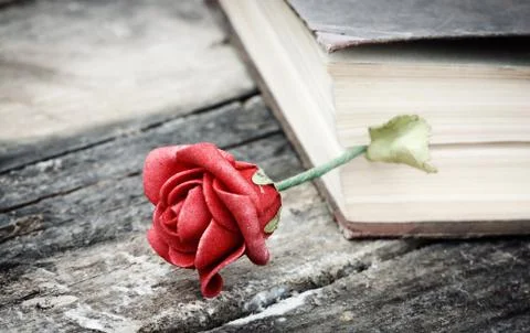 Book and rose Stock Photos