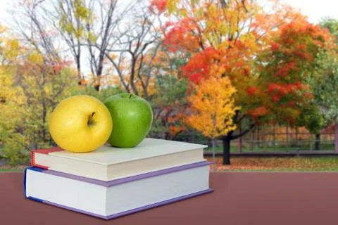 Book and school yard Stock Photos