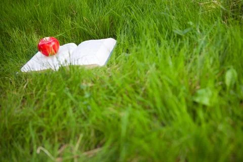 Book with apple on the grass Stock Photos