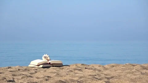 Book on the beach and sand Stock Footage 80600609