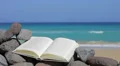 Book on the beach. Relax concept (copy space) HD Footage