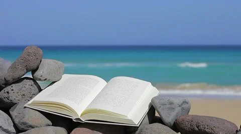 Book on the beach. Relax concept (copy space) Stock Footage 37541341