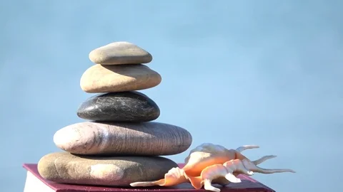 Book on the beach in relax Stock Footage