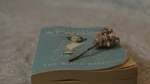 Book on a bed Stock Footage 211104885